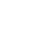 roses roses