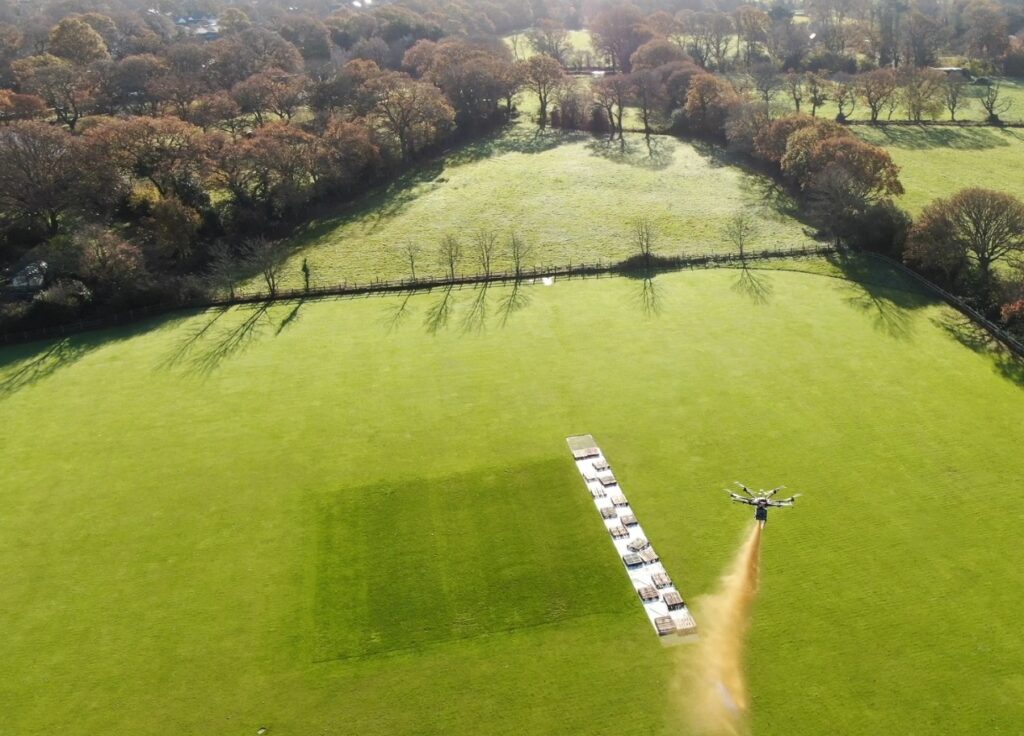 Cricket pitch - Copy