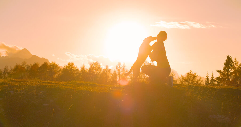LENS FLARE, SILHOUETTE: Moment of joy and friendship between a woman and her lovely dog at sunset. Playful doggo embraces his owner on scenic hilltop as autumn sun slowly sets behind alpine mountains.