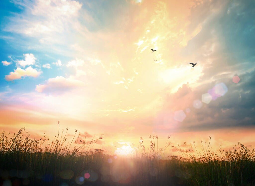 Calm of country meadow sunrise landscape background