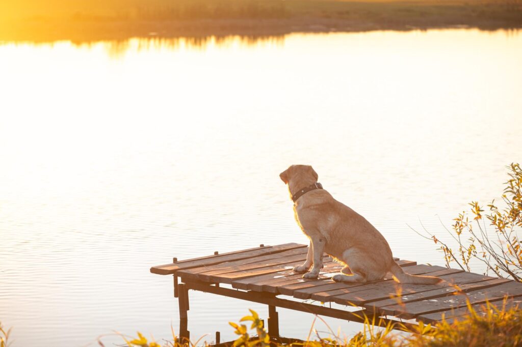 featured-image-1764666047