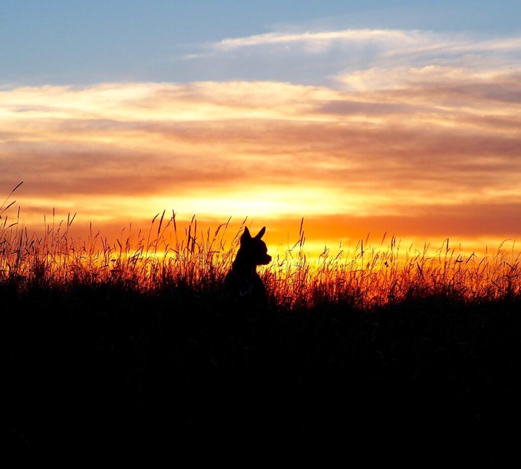 featured-image-1764925268