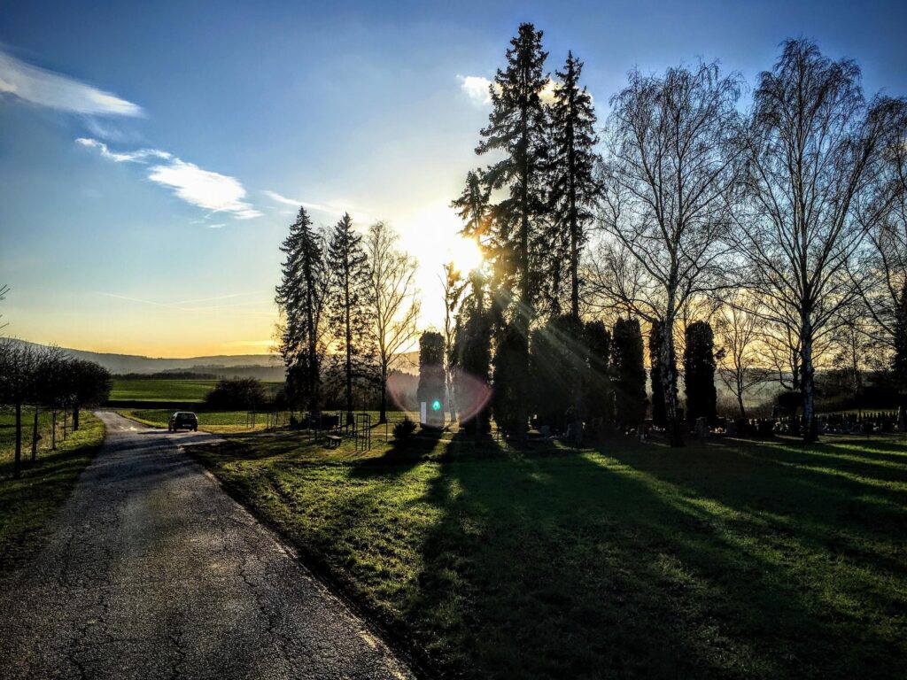 featured-image-1765011617