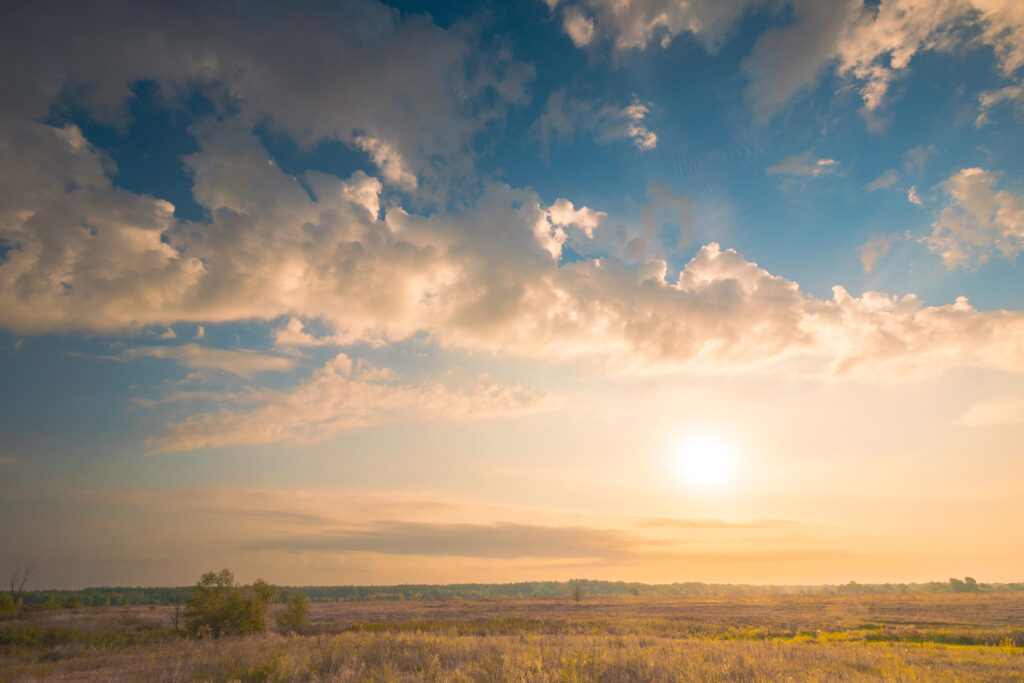 Gorgeous sunrise sky with beautiful clouds over summer wild grass field.