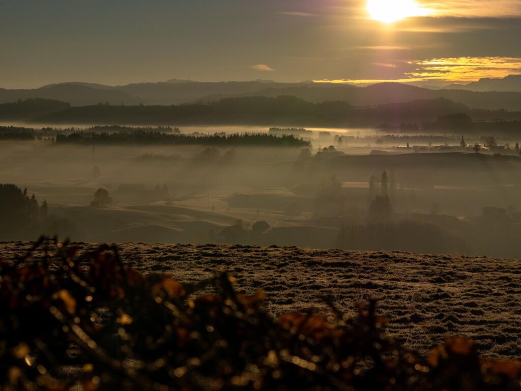 featured-image-1766048474