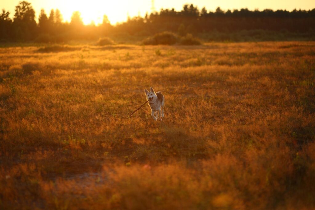 featured-image-1768485634