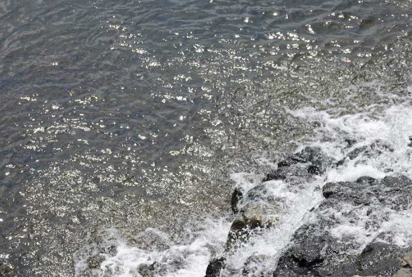 Coastal Ash Scattering