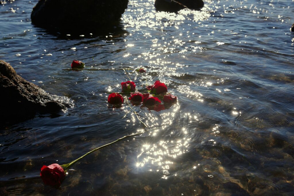 scattering ashes at sea