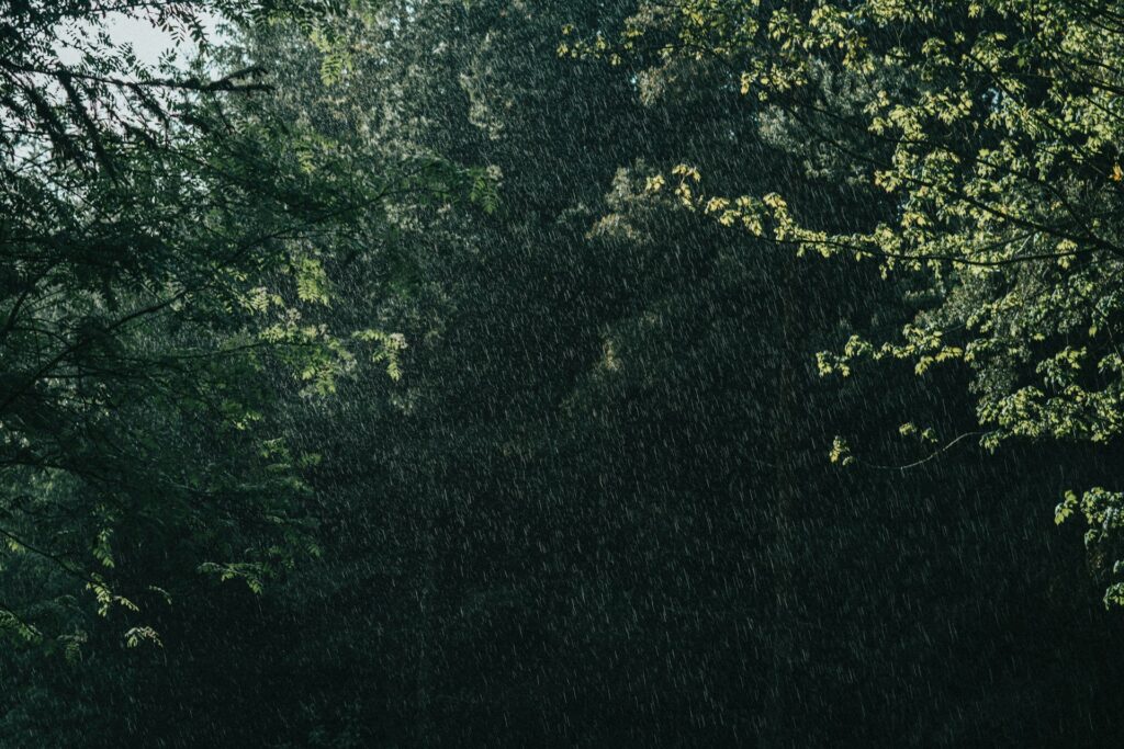 Bad Weather
